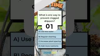 How to prevent clogged drippers hydroponicway hydroponics shorts quiz quiztime sustainable [upl. by Eemia]