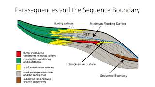 21  Parasequences and sequence boundary [upl. by Joella]