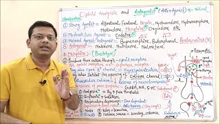 Opioid Analgesic amp Antagonist Part 03  Classification MOA and Pharmacological Effect of Opioid [upl. by Erikson]