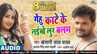 आ गया Khesari Lal Yadav का सबसे बड़ा चईता गीत  Gehu Kate Ke Naikhe Lur  Chaita Song [upl. by Eidnyl]