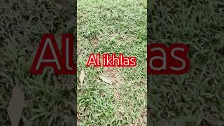 Al ikhlas quotes ayat ayatalquran suaramerdu short [upl. by Llebanna371]