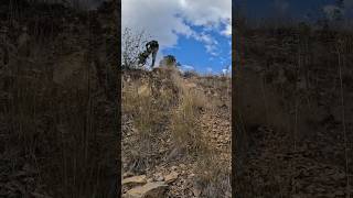 Talaria MX5 First Ride The New Talaria MX5 Is It Perfect [upl. by Tamer]