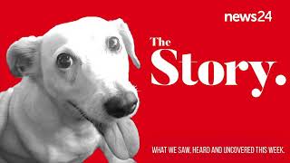 PODCAST  The Story Is dognapping on the rise [upl. by Kemp668]