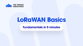 LoRaWAN Fundamentals in 5 Minutes [upl. by Jandy]