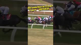 Breeders Cup Turf 2022 Highlights A Race of Champions [upl. by Anaeirb231]