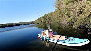 Spinnerbait Largemouth at Lake Arthur  Paddle Board Fishing for Bass [upl. by Pillyhp]