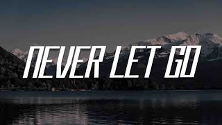 Never Let Go Lyric  Tyasta Pangalila Elevation Worship Sanctus Real [upl. by Kate]