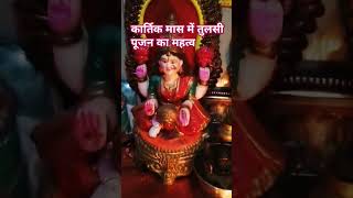 tulsipujainkartik amazingfacts tulsipujavidhi factsinhindi story subscribe like [upl. by Yekciv654]