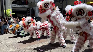 Preparing chinese new year 2024 mauritius at Caudan Waterfront PortLouis POV [upl. by Thorlie]