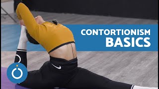 Beginners CONTORTIONISM Tutorial ✨ 3 Exercises to Increase Flexibility [upl. by Letnohs]