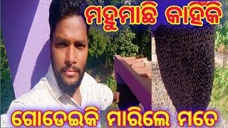 ମହୁମାଛି କାହିଁକି ଗୋଡେଇ ମାରଲେ ମତେ  Mahufena Honeycomb  bee  Papu Sai Beby [upl. by Fredrick]