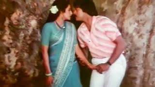 Malli Malli Video Song  Rakshasudu Movie  Chiranjeevi Suhasini Maniratnam  Volga Music Box [upl. by Richards787]