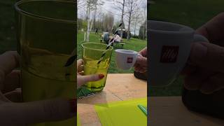 Feels like Summer La Caii verzi amp iarba verde 🤣🐴🐴coffeelovers subscribe shorts green nature [upl. by Lonier]