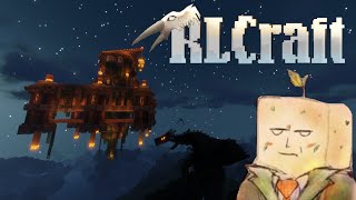 Minecraft RLCraft EP 72 Fine Wine and Dragons [upl. by Kora]