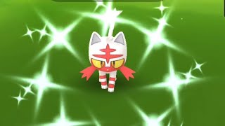 Shiny Litten Community Day [upl. by Rizzo545]