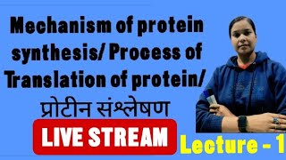 Mechanism of protein synthesis Process of Translation of protein प्रोटीन संश्लेषण [upl. by Sibylle]