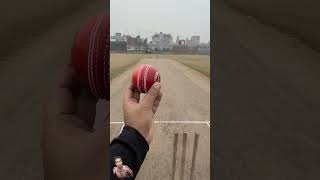 From the pitch to your screen Leather Ball Action cricket cricketlover cricketshorts ycc [upl. by Alphonsine539]