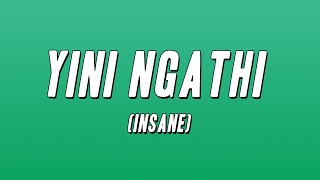 Felo Le Tee  Yini Ngathi Insane Lyrics [upl. by Ennayd]