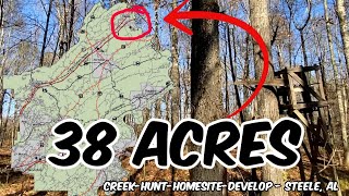 38 Acres Homestead  Multi Generational  RV Park  Alabama Land For Sale [upl. by Lleraj]