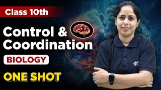 Control and Coordination in One Shot  Class 10 Biology Chapter 2  Class 10 Science  eSaral [upl. by Attevad]