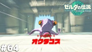 高圧洗浄機で床の汚れを掃除するゲーム【ゼルダの伝説 ティアーズ オブ ザ キングダム】＃６４ [upl. by Gertrude]