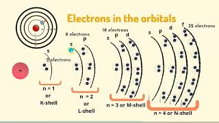 Shells Subshells and Orbitals l Understand the difference [upl. by Orutra]