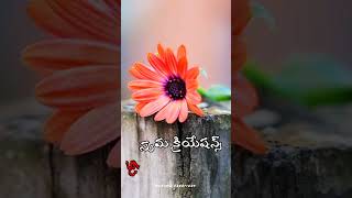 Telugu whatsapp status Telugu Dialouge Status Emotional status Telugu whatsapp videos shorts [upl. by Yllatan262]