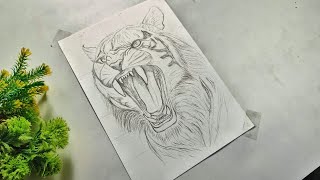 How to draw Tiger Tiger Drawing Pencil Drawing Part 1 sukanta art [upl. by Deehan]