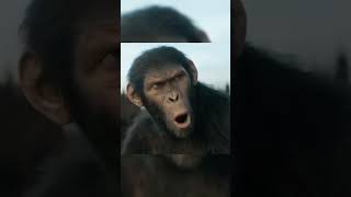 Kingdom of the Planet of the Apes l Chaos in the JungleA Girl vsan Army of Apes l Official Trailer [upl. by Enaoj]