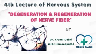 Degeneration amp Regeneration of Nerve Fibers  Dr Krunal Dabhi MD Homoeopath [upl. by Ainav]