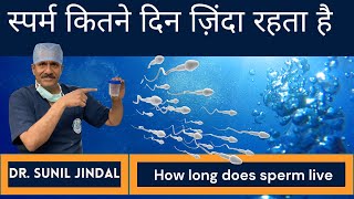 How long does sperm liveस्पर्म कितने दिन ज़िंदा रहता है Dr Sunil Jindal Jindal Hospital Meerut [upl. by Elawalo]