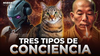 Tres Tipos de CONCIENCIA 🧠 Filosofía 🏛️ filosofia mente cerebro robots ias reflexiones libros [upl. by Fiden]