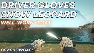 Driver Gloves Snow Leopard WellWorn  CS2 Skin Showcase 1212 [upl. by Namyac]