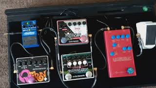 QTRON MEMORY BOY JAM MAN looper Gatorcasescom EHX gatorcasesofficial jimdunlopusa [upl. by Kinny232]