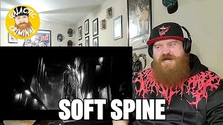 Spiritbox  Soft Spine  Reaction  Review [upl. by Engedi819]