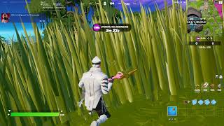 Hide in Tall Grass for 10 Seconds 1  Season Quest Guide  Chapter 3 Season 1 Week 4  Fortnite [upl. by Sihtam]