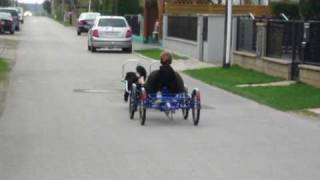 Quad mit Hundegeschirr von Bike Revolution [upl. by Litch733]