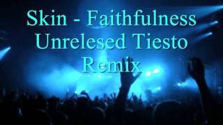 Skin  Faithfulness Unrelesed Tiesto Remixwmv [upl. by Cavuoto]