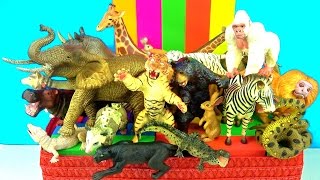 Learn about Wild Animals and their Names  Zoo Animals  Kids Educational Toys  in English [upl. by Germaun]