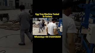 Egg Tray Machine Test Run in Factory  High Efficiency Productioneggtraymachine eggtray [upl. by Onitnas]