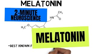 2Minute Neuroscience Melatonin [upl. by Brigida188]