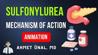 🎬 SULFONYLUREAS MECHANISM OF ACTION ON BETA CELLS  MNEMONIC ANIMATION [upl. by Andreas]