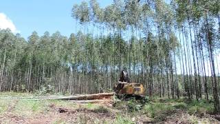 Feller Buncher 870C  Corte Área Expoforest 2018 [upl. by Saudra]