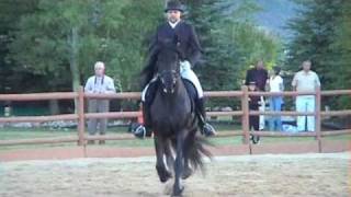 Kurt Bestor Joins Donnette Hicks In a Live Equestrian Production [upl. by Zebaj812]