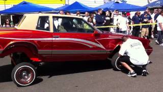 Car show hydraulics contest [upl. by Ferrell54]