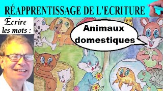 Réapprentissage de l’écriture  Vocabulaire des animaux domestiques [upl. by Culbertson157]