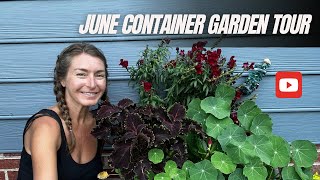 June Container Garden Tour [upl. by Mireille969]