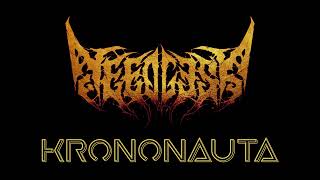 Needless  Krononauta lyric video [upl. by Elianore]