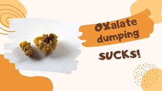 Oxalate Dumping  How to tell the difference between dumping and everything else [upl. by Rosco]