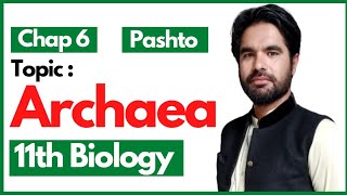 Archaea  Examples of extremophiles  11th biology in pashto [upl. by Nauj]